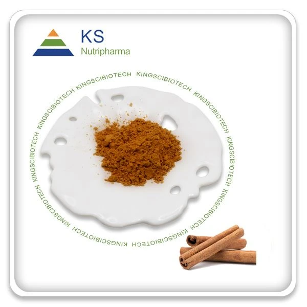 پودر عصاره پوست دارچین
