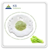 پودر کرفس پرورشی