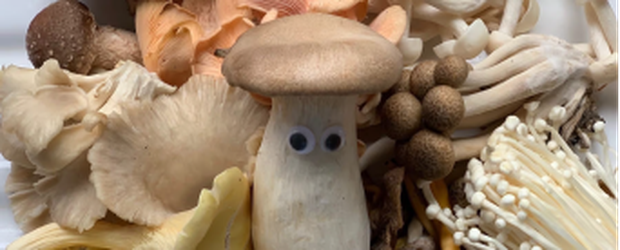 news-342-138 news-342-138